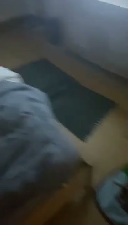 youtube.com