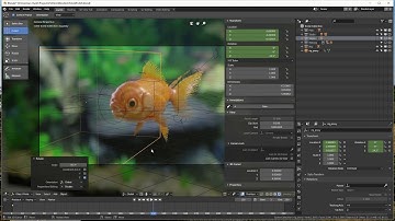 Fishsim for 2.8 Quickstart