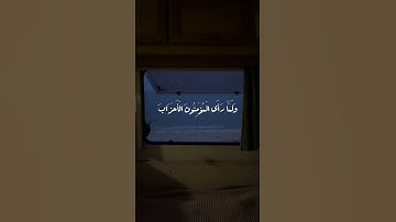 "لَقَدْ كانَ لَكُم فِي رَسُولِ اللَّهِ أُسْوَةٌ حَسَنَة"(#محمد_ايوب)#اكسبلور #explore(#سورة_الاحزاب)