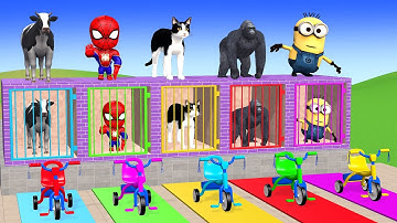 Long Slide Game with Cow Elephant Gorilla Hippopotamus Tiger 3d Animal Game Funny 3d Animals