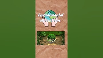 Environmental Conventions!