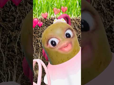 عبود حبيبي عبود     مضحك كوميدي اكسبلور