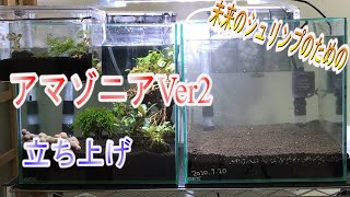 アクアリウム アマゾニアver2で水槽を立ち上げてみました Youtube