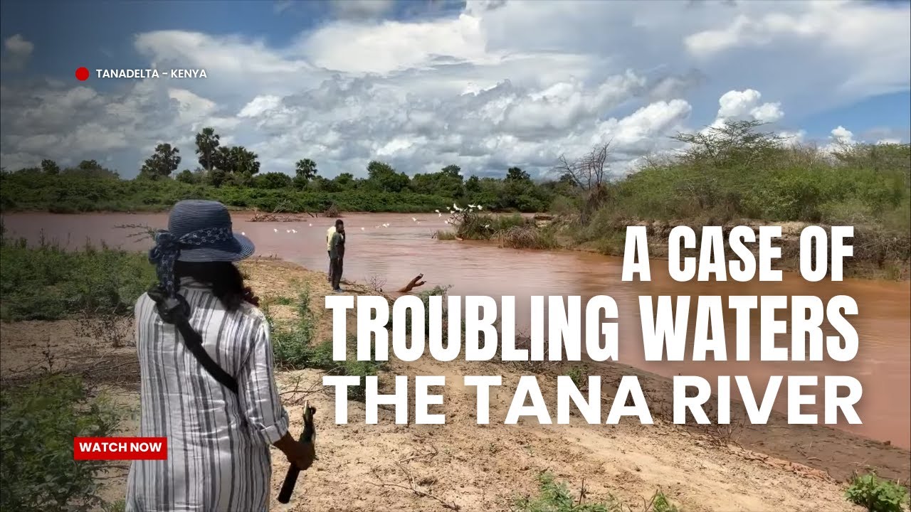 THE MATOMBA BROOK CRISIS - RECLAIMING WATER AND LIVES AT THE TANA DELTA #travel #africa #tanariver 