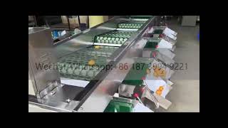 Vegetable Sorting Grading Machine Potato Onion Tomato Lychee Blueberry apple Size Sorting Grader