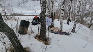 обновление привада на медведя