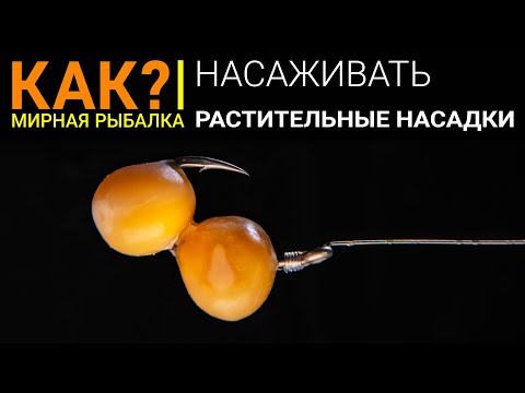 Видео: Как правильно насадить на крючок горох, кукурузу, перловку? Растительные насадки.