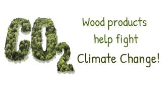 Download lagu Kayu! Solusi Perubahan Iklim