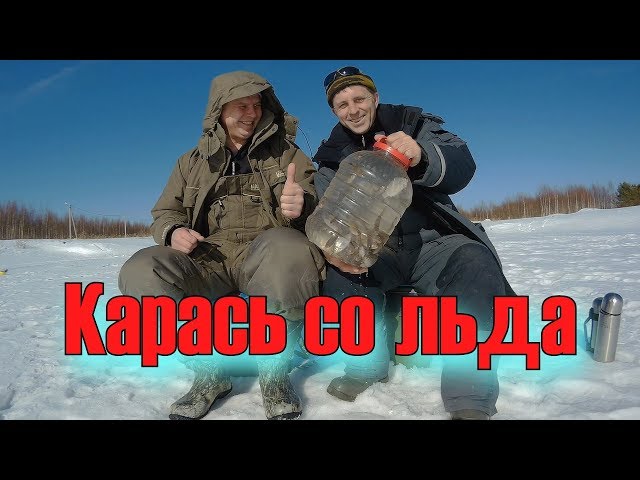 Карась со льда весной. Март 2018.