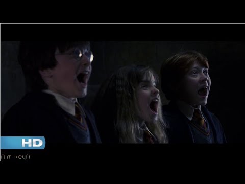 Harry Potter Felsefe Taşı - 3 Başlı Köpek - HD (Türkçe Dublaj)