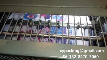 Two color offset printing machine for non woven bag