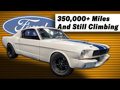 Lifetime Ford &