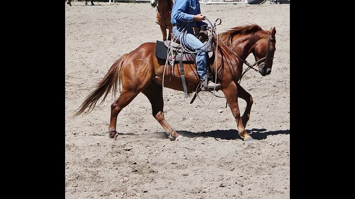 2017 concho and brian billings
