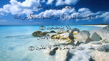 سورة النحل بصوت ماهر المعيقلي