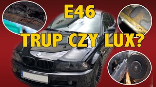 E46 Trup czy Lux.