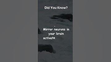 The Power of Mirror Neurons