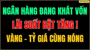 Vì Sao Lãi Suất Tăng Nhanh Cuối 2025? Bức Tranh Thanh Khoản – Tỷ Giá – Vàng Đang Cực Căng!