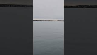 Columbia River Calm Soul Reset from the Dock Nature Adventure #trending #shorts #youtubeshorts