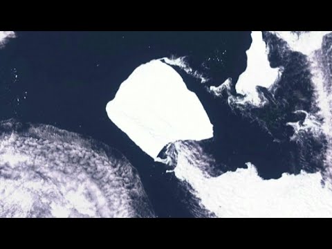 World's largest iceberg off Antarctica stuck since 1986 breaks free