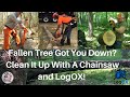 Best Way To Remove a Fallen Tree, With Your Chainsaw and a LogOX