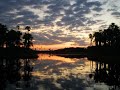 relax mode -nature sounds -sunset---Atardecer llanero en la laguna de mi finca en el llano 3D