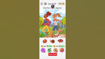 Braindom Level 27 Find the hidden objects!