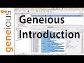 Geneious Introduction: Interface and importing (Mitogenome Tutorial 2.4)