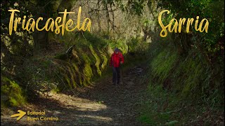 Caminho de Santiago entre Triacastela e Sarria