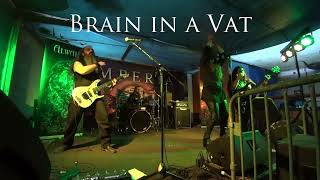 ALWAID - Brain in a Vat