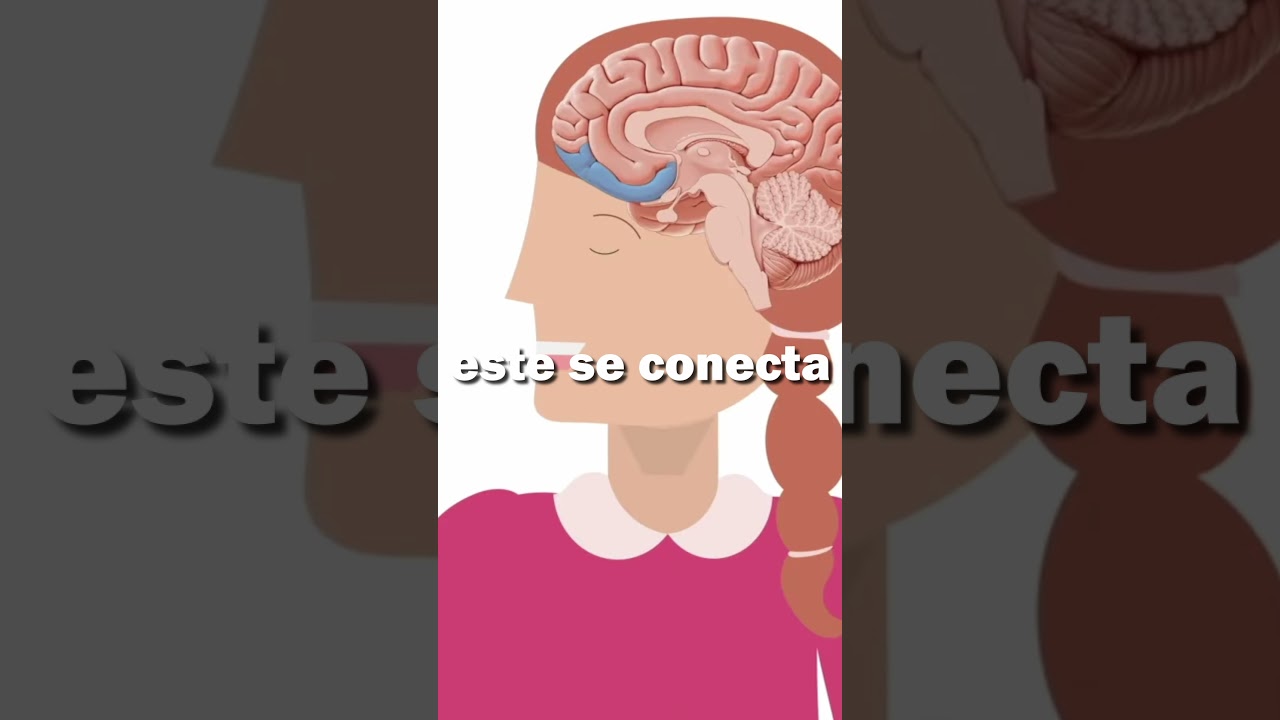 ¿Sabias que el olor no es casualidad?