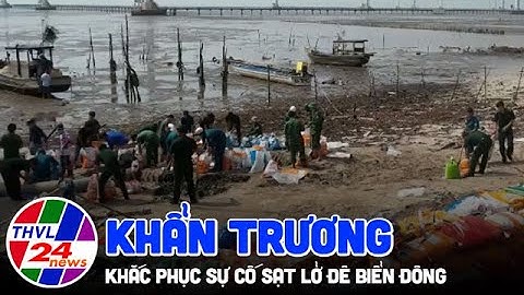 Khẩn trương khắc phục sự cố sạt lở đê Biển Đông