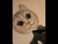 mewo ! ##manglamshadesandarts