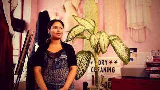 The Hamilton Small Business Enterprise Centre.