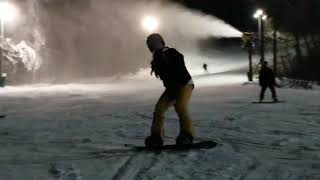 Wintergreen 2