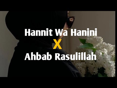 Hannit Wa Hanini