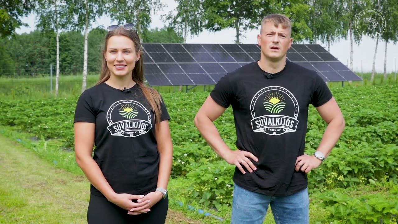 Braškių ūkis "SUVALKIJOS SKONIAI"