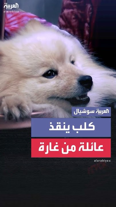 :      
 - نشر قبل 11 دقيقة