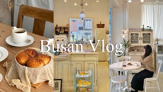 Vlog | 부산 일상 브이로그 (디저트시네마, 네살차이, 톤쇼우, 그린노마드, 카페데이지, 낙도맨션) screenshot 5