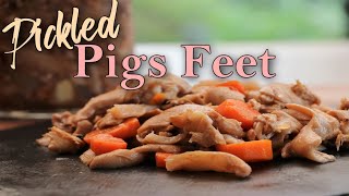 How to Make Pickled Pigs Feet  Food from the South