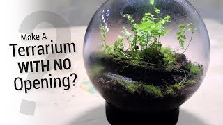 How to Make a Terrarium Without An Opening