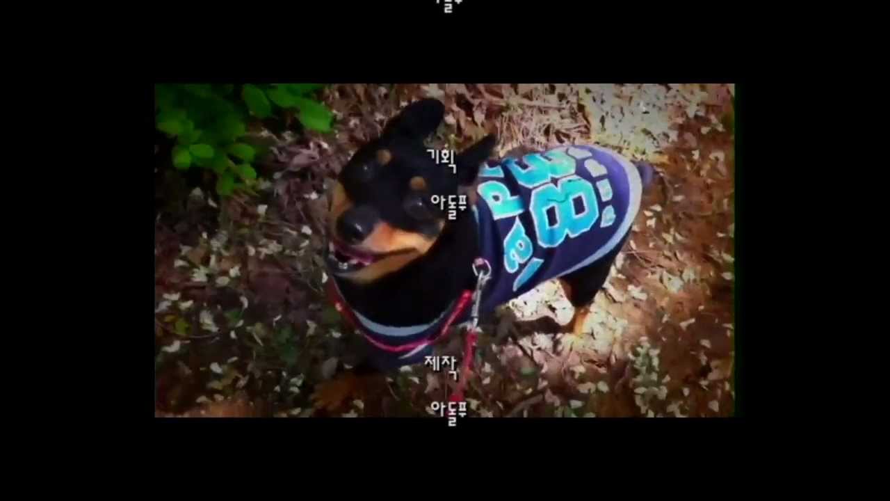 My Puppy Love YouTube