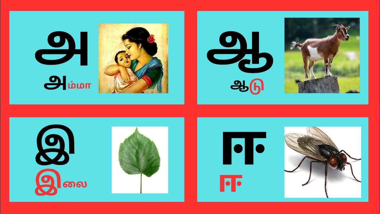தமிழ் உயிர் எழுத்துக்கள் அ ஆ இ ஈ/Tamil Ueir Ezhuthukal learn for kids # ...