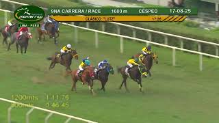 Transmisión en vivo de Monterrico TV HD - Carreras julio 2026