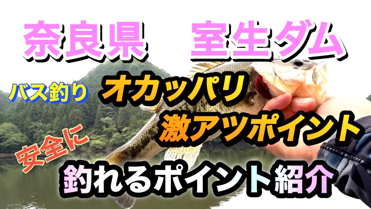【バス釣り】奈良県の室生ダム！安全にオカッパリ出来て釣れるポイントを紹介🎣 #リザーバー  #室生ダム