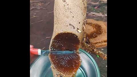 Most Satisfying Factory Machines and Ingenious Tools That Will Blow Your Mind