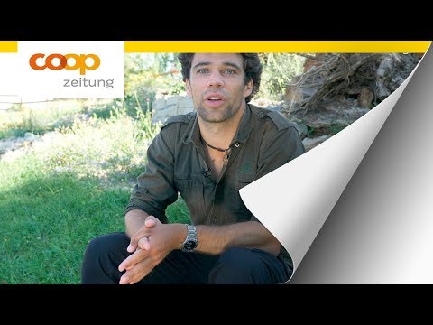 wildbienen-im-garten---hilfe-für-die-kleinen-helfer