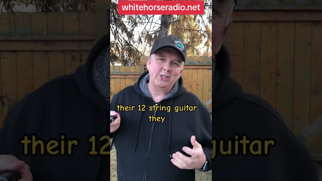 The Byrds 12 String Guitar?