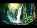 Meditation Soothing Relaxation 24/7, Stress Relief Music, Sleep Music, Rainforest Nature Sounds