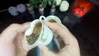 Capricorn EVERY CHALLENGE GROWS YOU   Coffee Cup Reading