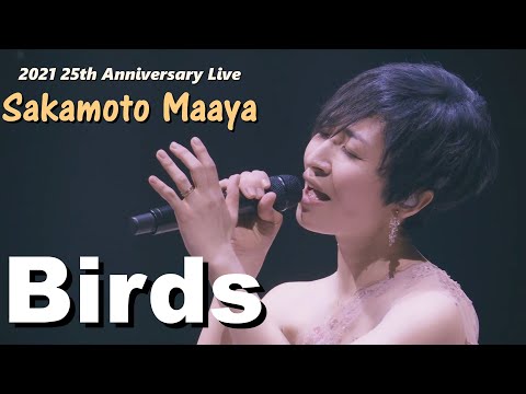 사카모토 마아야 坂本真綾 Birds 2021 25주년 Live 1st 미니앨범 Easy Listening 수록곡